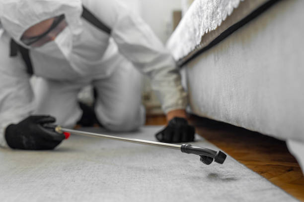 Professional Termite Control technician working in Savannah, TX